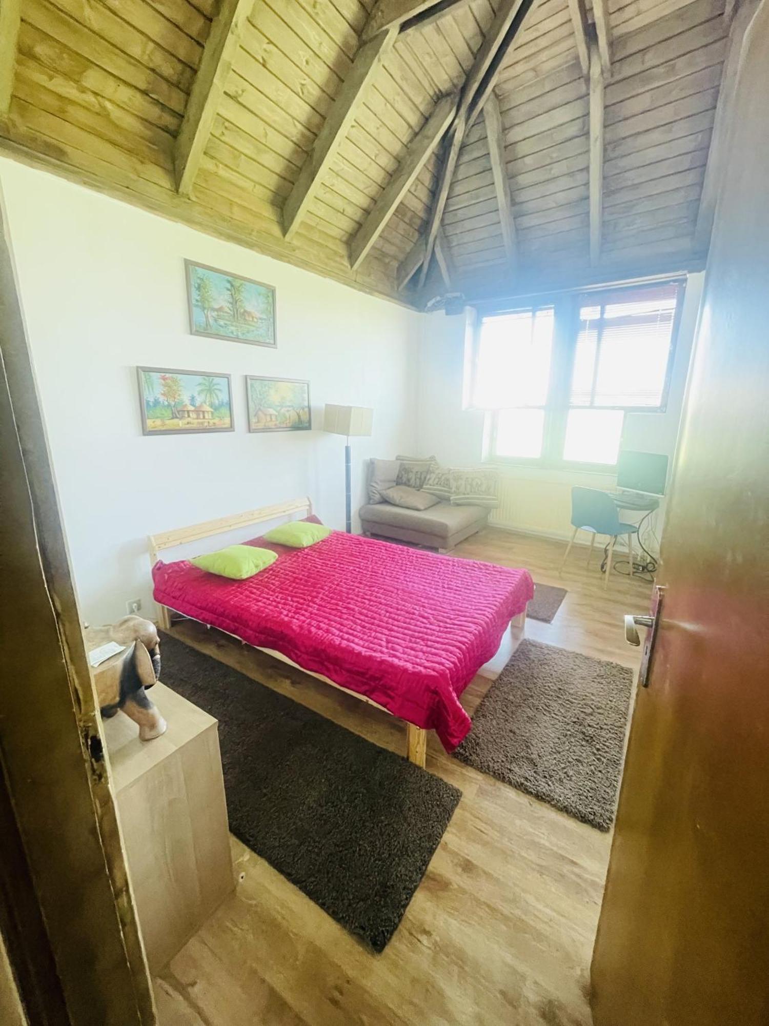 Greenpark Garden Villa Family Apartments Near Tokaj เซเรนช์ ภายนอก รูปภาพ